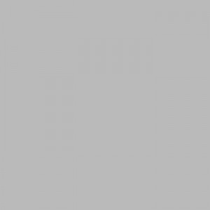 Фон бумажный Polaroid Light Grey Светло-серый 2,72*11 м