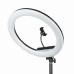 Осветитель кольцевой Falcon Eyes BeautyLight 480RC LED Осветитель кольцевой Falcon Eyes BeautyLight 480RC LED