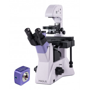 Микроскоп биологический инвертированный цифровой MAGUS Bio VD350 Микроскоп биологический инвертированный цифровой MAGUS Bio VD350
